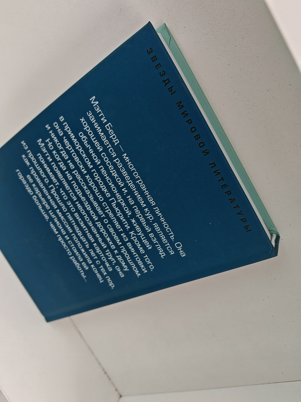 Шпионский берег