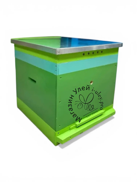 Улей 12 рамочный без магазинов (Дадан, Липа, крашеный) комплект