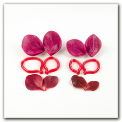 Силиконовые вайнеры молды каттеры барбариса, молды для мастики