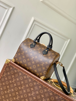 Louis Vuitton Speedy Trunk 25