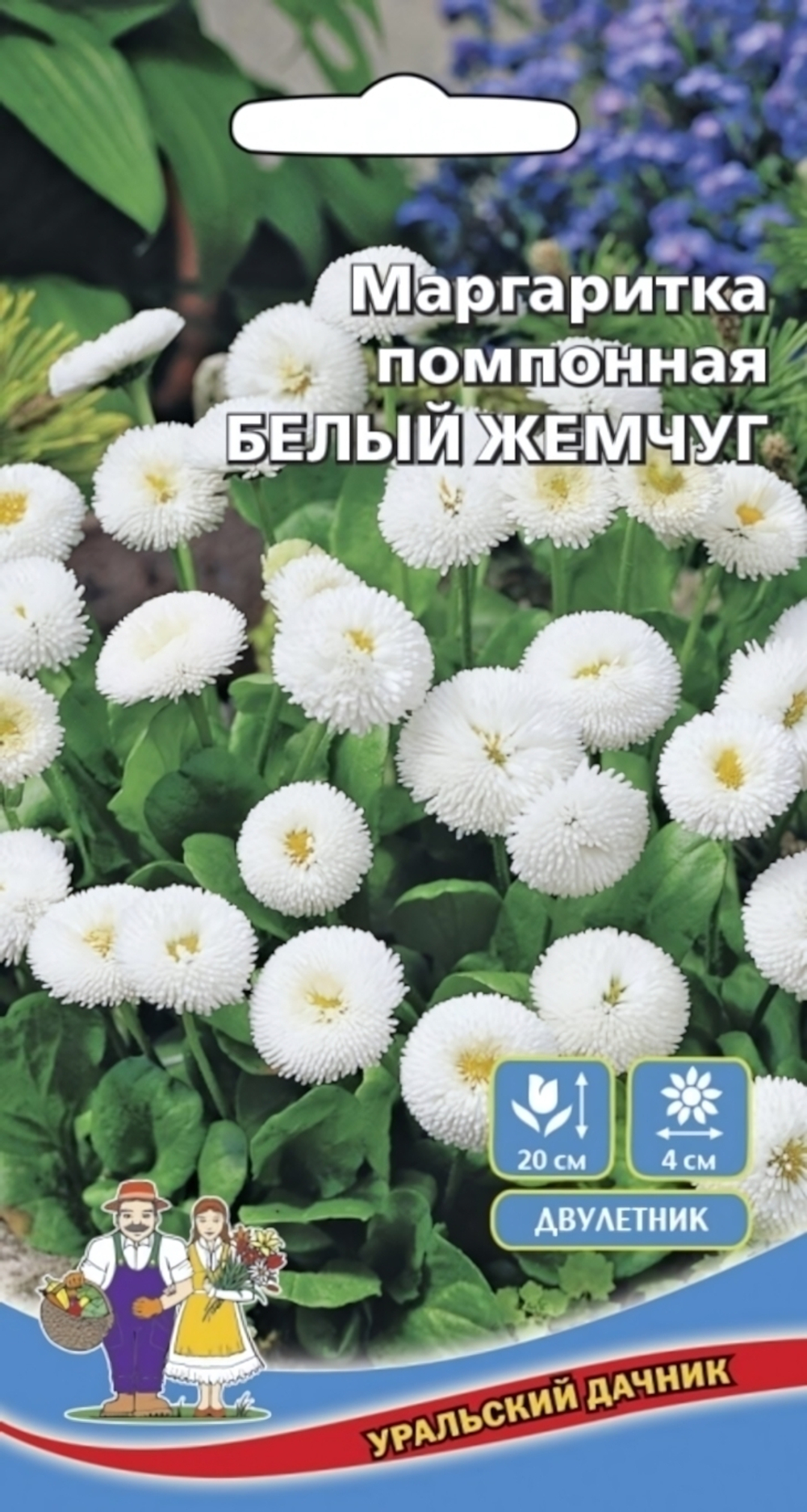 Семена Маргаритка помпонная Белый Жемчуг (УД) Е/П