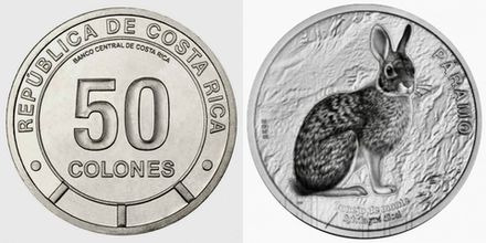 Коста-Рика 50 колонов, 2023 Фауна экосистемы - Парамо. Горный кролик UNC