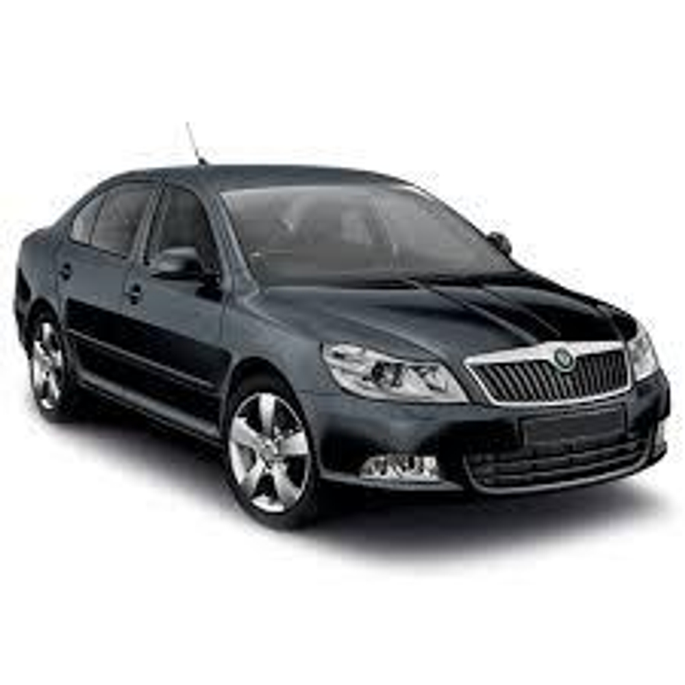 Skoda Octavia 2 (1Z3) 1.8 TSI