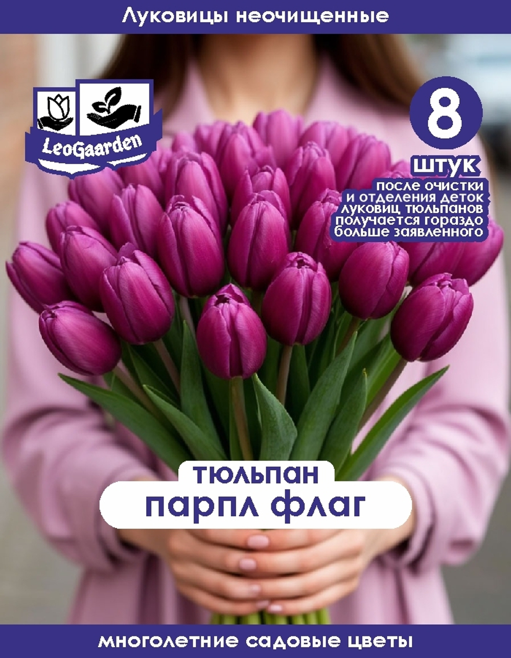 Тюльпан Луковица, Пурпл Флаг 8 шт, разбор 11+