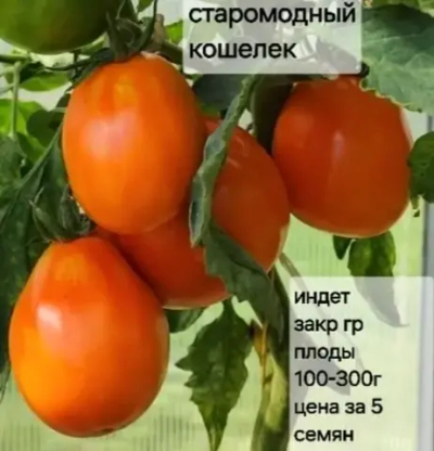 СТАРОМОДНЫЙ КОШЕЛЕК