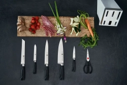 Zwilling Набор из 4 четырех звездных ножей в блоке + ножницы