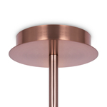 Потолочная люстра Maytoni Erich MOD221PL-10G