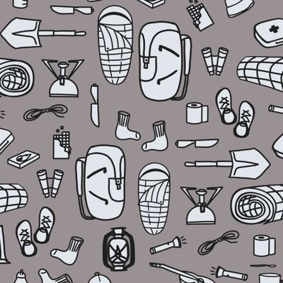 Набор путешественника