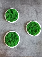 Круглое панно на стену из мха набор 3 шт.