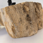 Раковина из окаменелого дерева OD-62488 54*39*15