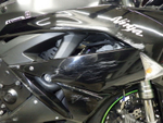 Kawasaki ZX-6R JKAZX4R14AA021980