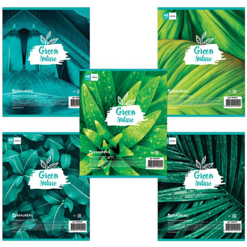 Тетрадь А5, 48 л., BRAUBERG, клетка, обложка картон, GREEN NATURE, 403033, 5шт