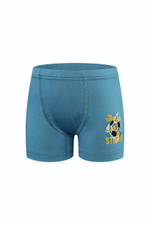 Боксеры для мальчиков 3340 р.98 (3-4 года) в ассорт. (BAYKAR)