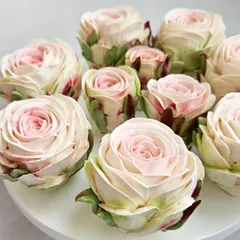 Зефир «Роза Мондиаль» Зефир «Роза Мондиаль»