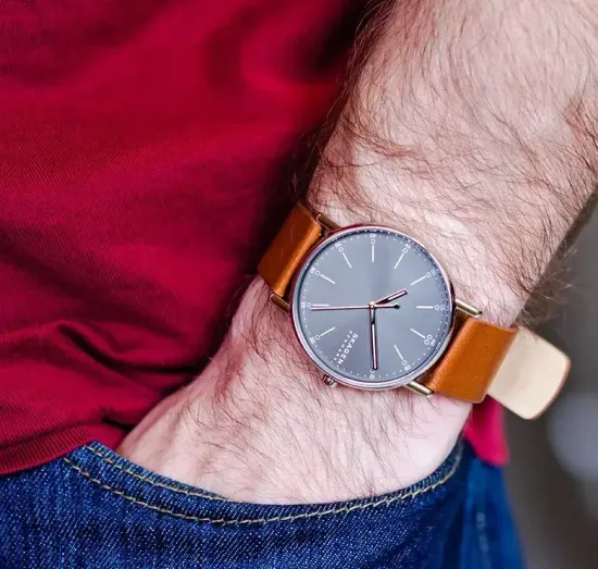 Мужские часы Skagen SKW6578