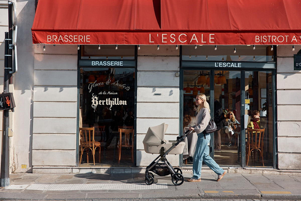 Детская коляска Anex iQ Premium NT 2 в 1 iQ-13-DNA seal