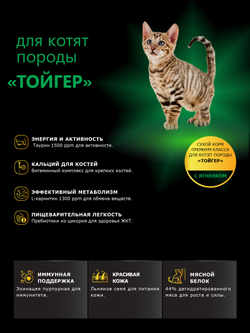 Корм сухой для котят породы Тойгер, с ягненком, 2кг, QUATTRO