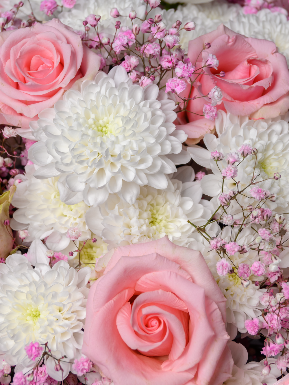 Нежные мечты *