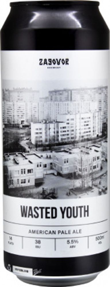 Пиво Заговор Вэйстэд Юс / Zagovor Wasted Youth 0.45 - банка