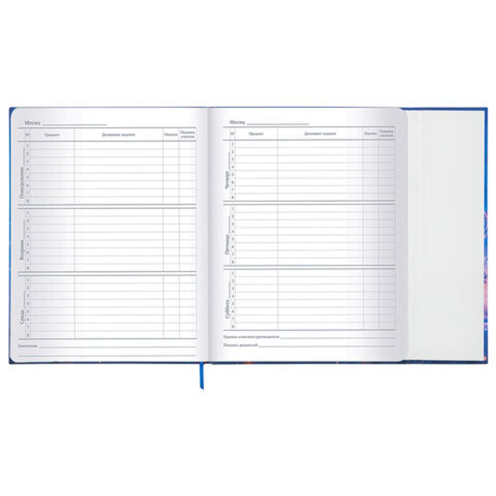 Дневник 1-11 класс 48 л., твердый, BRAUBERG, матовая ламинация, магнитный клапан, закладка-ляссе, с подсказом, "Magic", 107243