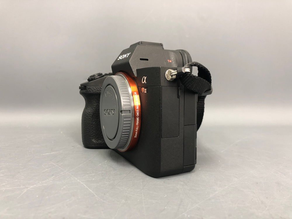 Sony A7 III (10.010 кадров)