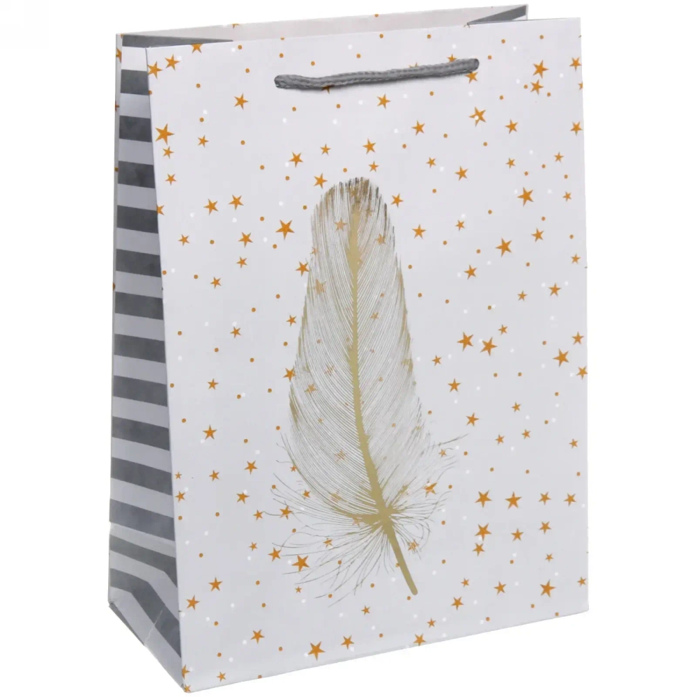 Пакет подарочный «Блеск» 18*24*8,5 см