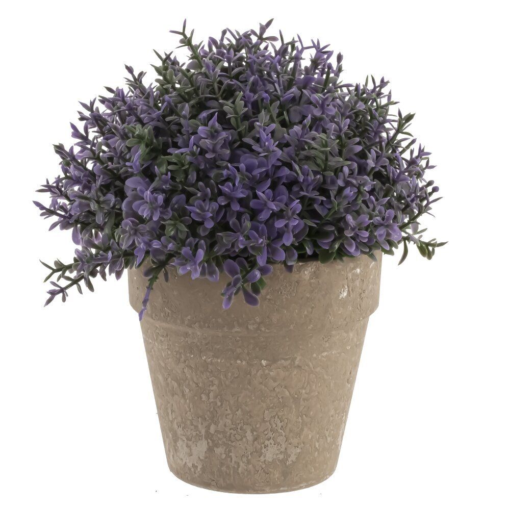 GAEM Цветочная композиция, L11 W11 H13 см