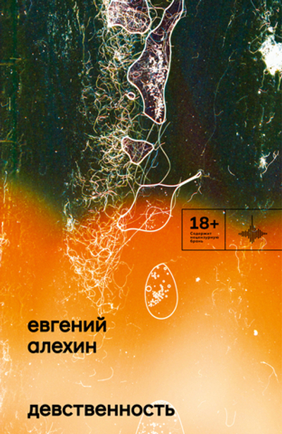 Девственность (электронная книга)