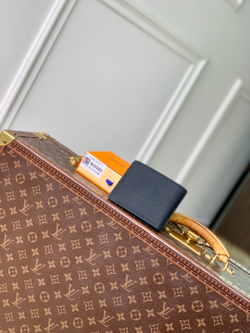Louis Vuitton Multiple Wallet