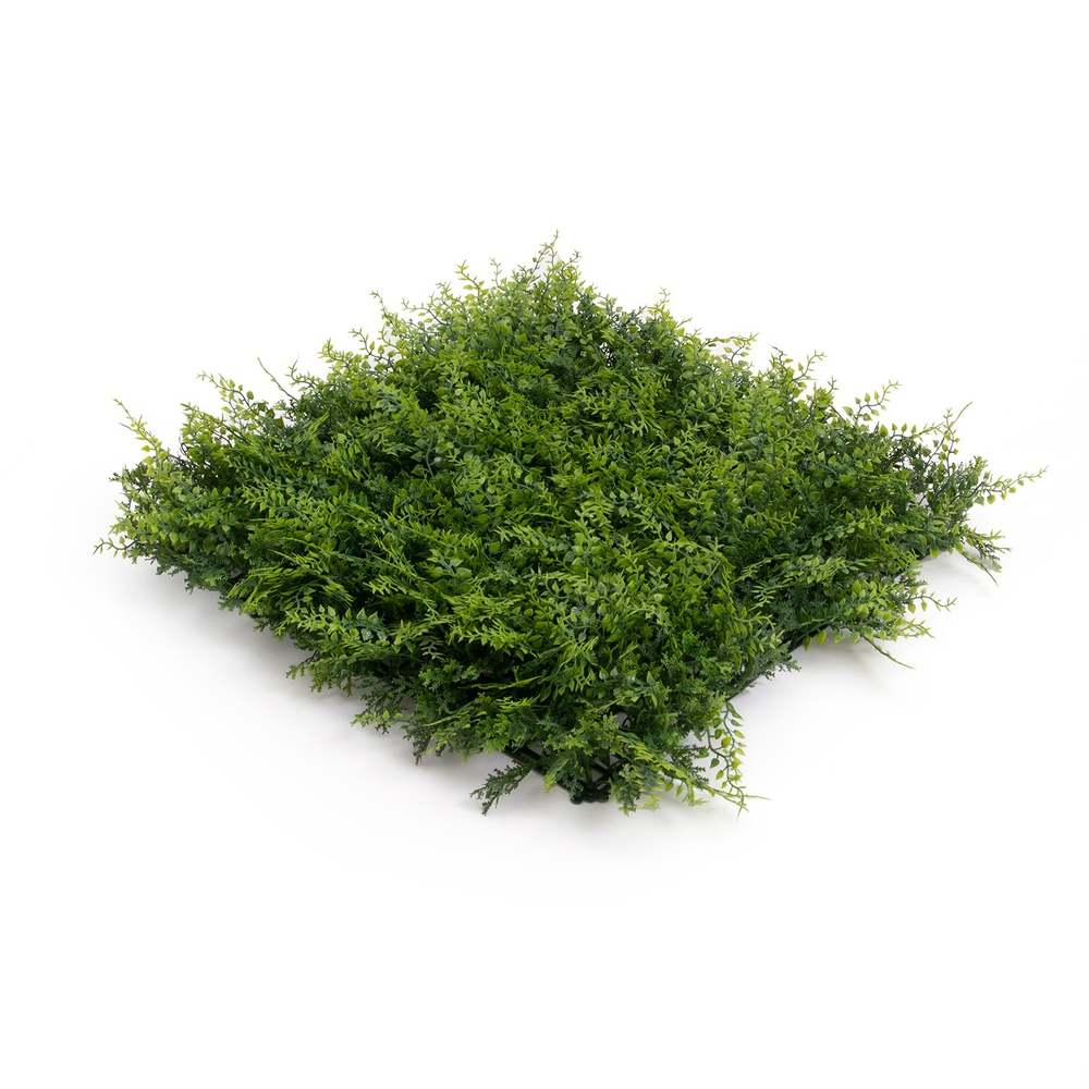 Панель из папоротника 50x50см.