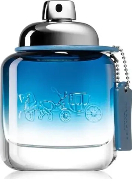 Мужская парфюмерия Coach Blue EDT 100 мл