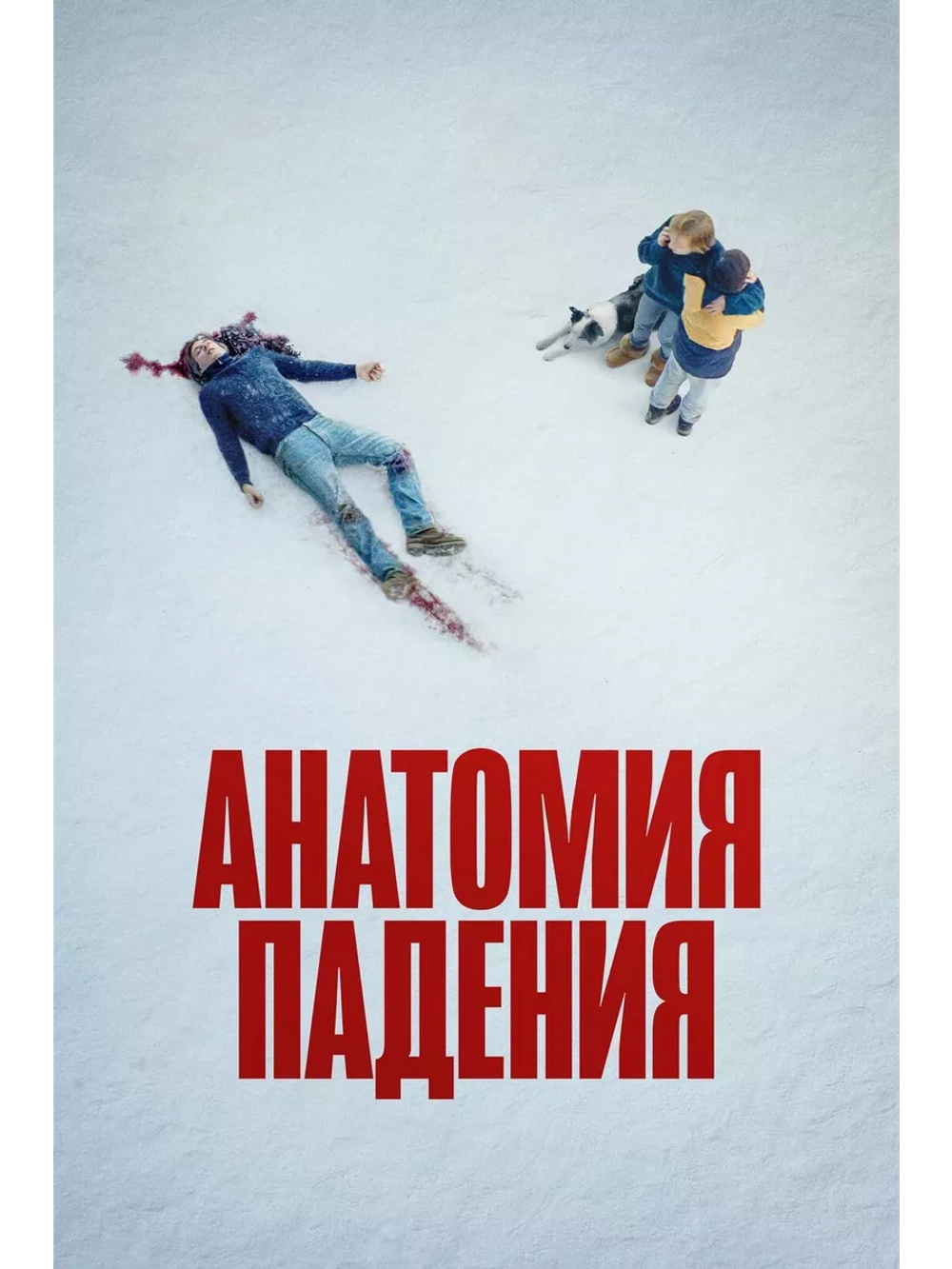 Анатомия падения (2023) (DVD-R)
