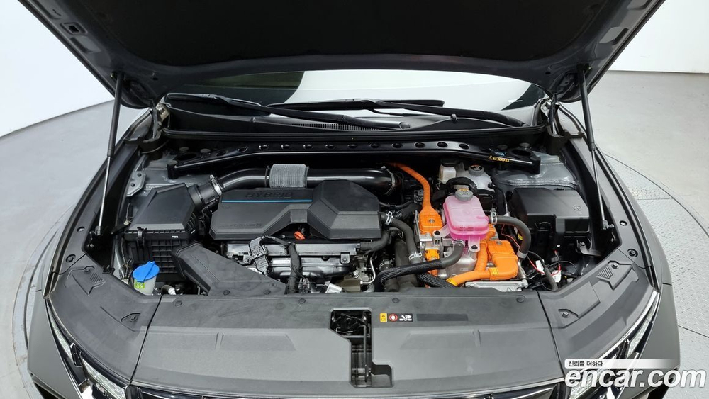 Hyundai Tucson Hybrid (NX4) N Line 2WD (08.2021)