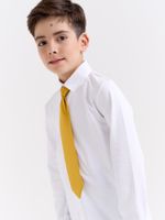 Галстук с фиксатором "Горчица"