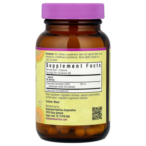 Bluebonnet Nutrition, Super Fruit, Vegetarian SOD, экстракт плодов канталупы, 250 МЕ, 60 растительных капсул