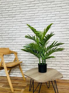 Растение искусственное Пальма 161-033 80см
