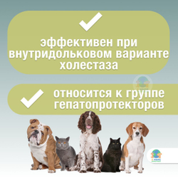 АВЗ Гепаветариум, гепатопротектор с антидепрессивной активностью для кошек и собак, 100 мг. Адеметионин.