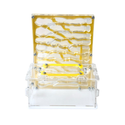 Вертикальная муравьиная ферма "Пустыня-Башня"