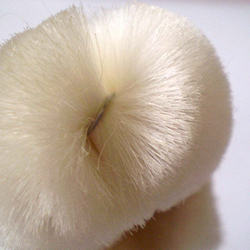 Шелковая щетка для лица Tomioka Snow Cocoon Silk Brush