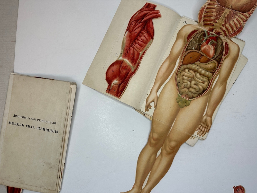 Платен М. Новый способ лечения. Лечение целебными силами природы. — Берлин: Изд. Просвещение, 1901