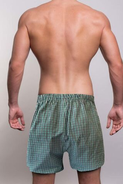 Зеленые клетчатые трусы-шорты (Размер: L) (Цвет: зеленый)