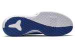 Кроссовки Nike Mamba Focus Tb Game Roya