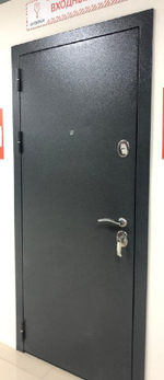 Дверь входная Стелла