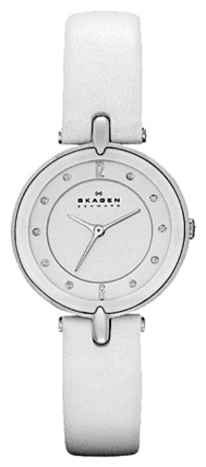 Skagen SKW2012
