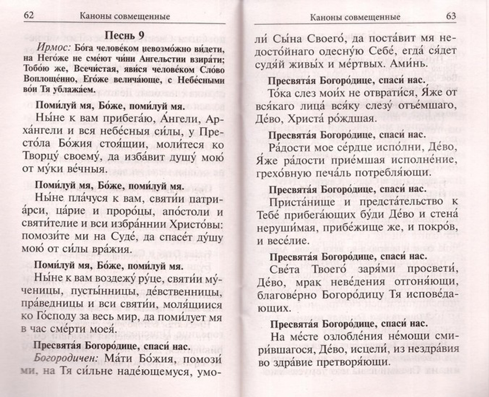 Молитвослов с правилом ко Святому Причащению. Пасхальный канон. Молитвы о ближних