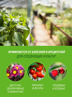 ФУНГИЦИД БИО ИНТА-ВИР ЗЕЛЕНОЕ МЫЛО 250МЛ