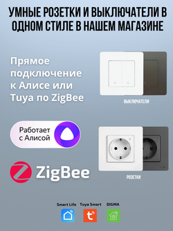 Двухместная рамка для розеток и выключателей 2-постовая