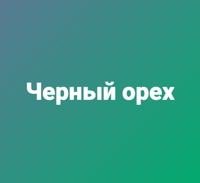 Черный орех