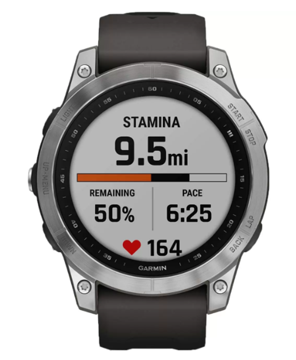 Умные часы Garmin Fenix 7 Silver