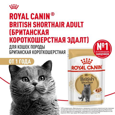 Royal Canin British Shorthair Adult Корм консервированный в соусе для взрослых кошек 85г